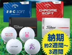 ビナクル【ゴルフボール】✡1 Amazon.co.jp: Pinnacle Mintリサイクルゴルフボール、ホワイト(36個