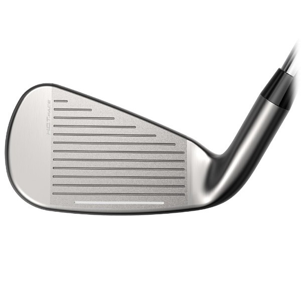 コブラ DSアダプト アイアン 5本セット （#6/#7/#8/#9/PW） N.S.PRO