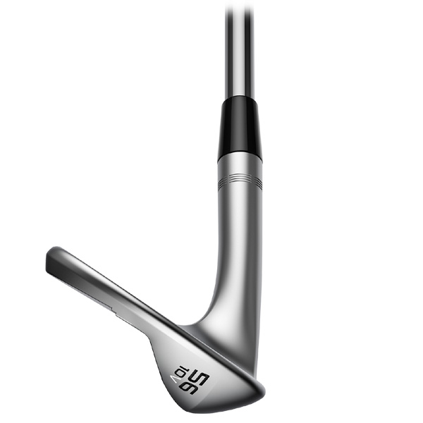 MORYS GOLF様、専用2種苗◇ゴールデンブラジル・ナムワキング。2大苗