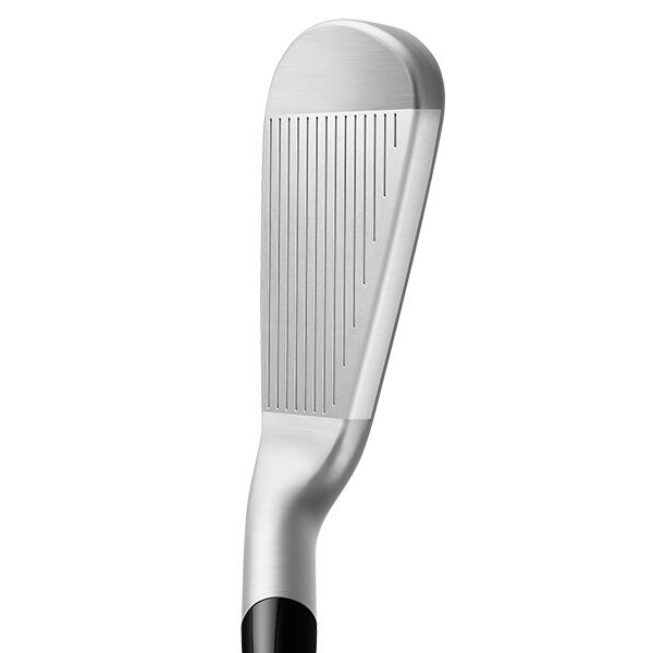 テーラーメイド 2023 P790 アイアン 5本セット (#6/#7/#8/#9/PW) N.S.