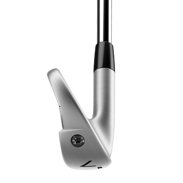 テーラーメイド 2023 P790 アイアン 5本セット (#6/#7/#8/#9/PW) N.S.