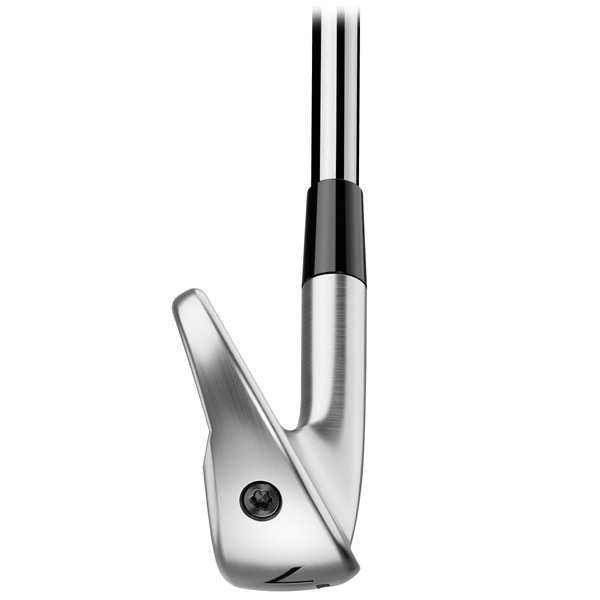 テーラーメイド 2025 P790 アイアン 単品 （#4/#5/AW） N.S.PRO