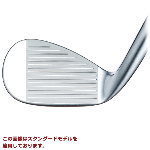フォーティーン DJ-6 ウェッジ ブラックエディション N.S.PRO DS91WBK