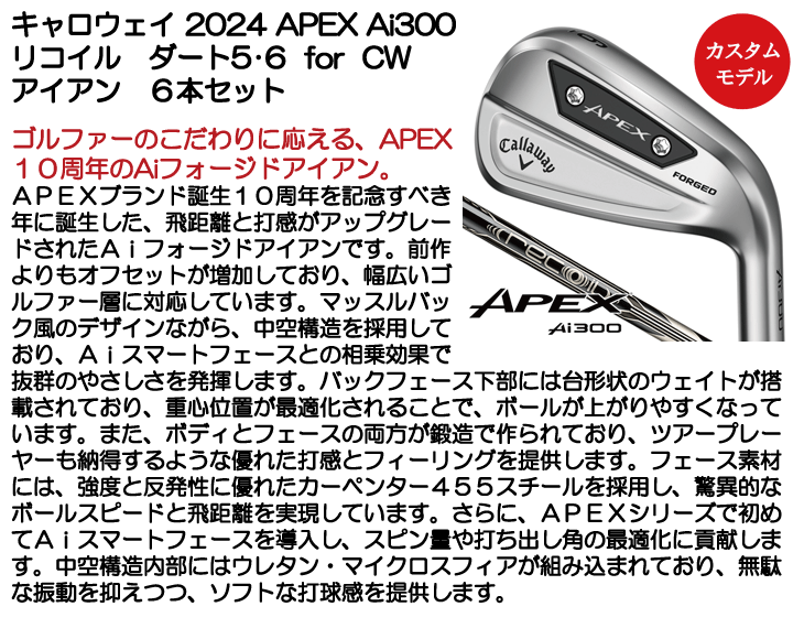 【極美品•レフティ】ミズノ MP‑53 アイアンセット 6本組 左利き 養老 極美品•レフティ】ミズノ MP‑53 アイアンセット 6本組 左利き