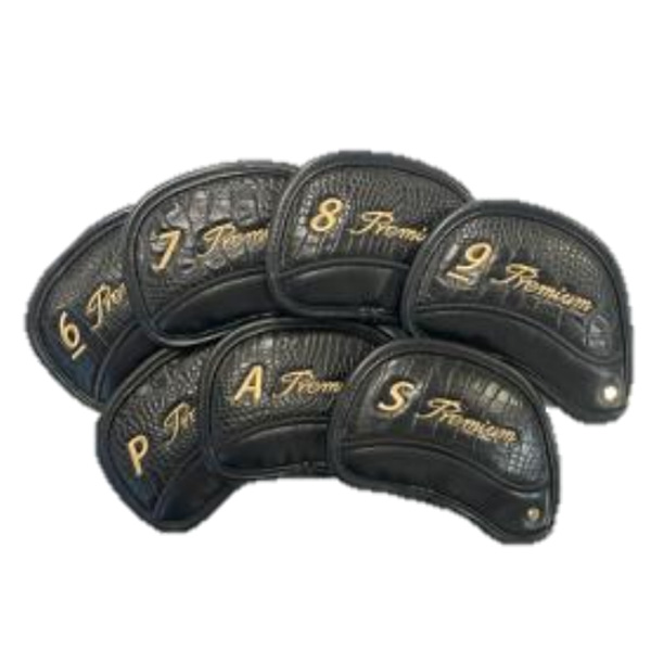 アクセル ゴールドプレミアム7 アイアン 単品 (#6/AW/SW) フジクラ