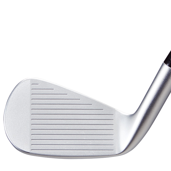 ゴールデンプリックス MC アイアン 単品 (#5) ダイナミックゴールド