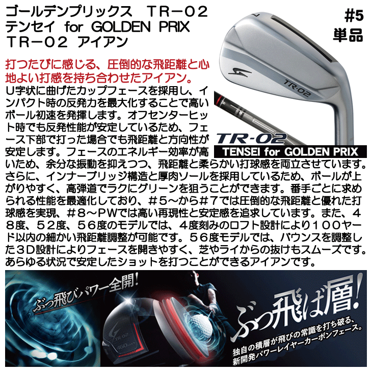 ゴールデンプリックス TR-02 アイアン 単品 (#5) TENSEI for GOLDEN