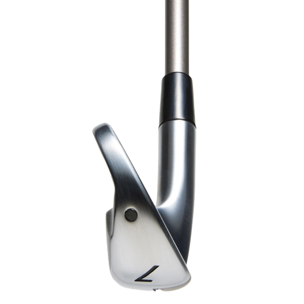 ゴールデンプリックス TR-02 アイアン 5本セット (#6/7/8/9/PW) TENSEI