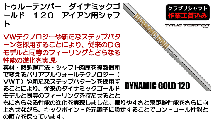 トゥルーテンパー ダイナミックゴールド120 S200 アイアンシャフト6本