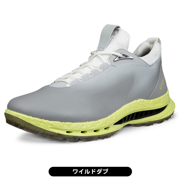 ecco ゴルフシューズ BIOM C5 132604 メンズ スパイクレス 紐 シュー