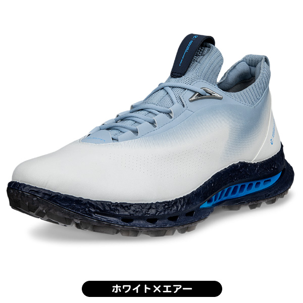 ecco ゴルフシューズ BIOM C5 132604 メンズ スパイクレス 紐 シュー