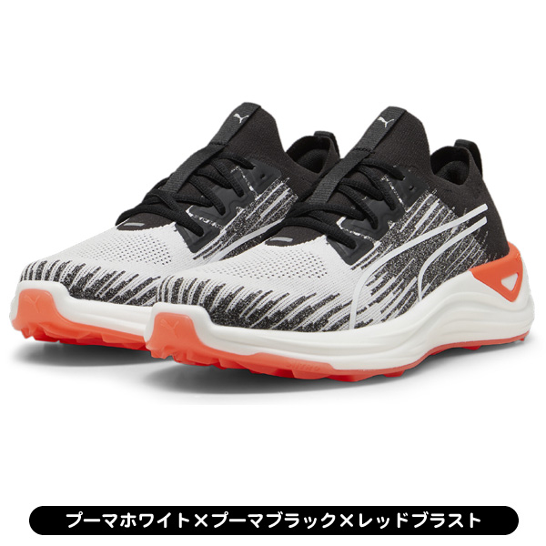 でぃめとろ ディメトロドン | 株式会社 ハセガワ