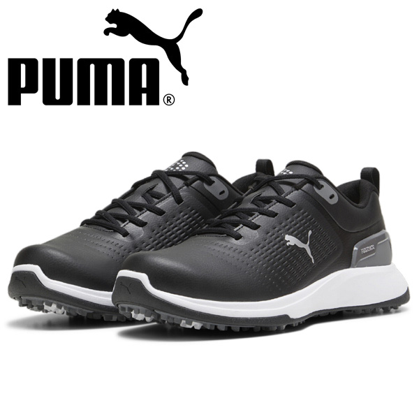 ECCO Golf BIOM C4 メンズ レザーGore-Texゴルフシューズ | 灰色